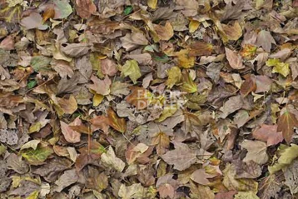 Ковролин Flotex Vision Image 000509 autumn leaves - green фото 1 | FLOORDEALER